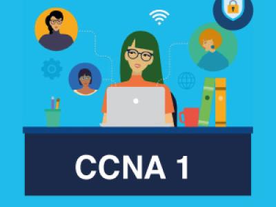 CCNA 1 V7