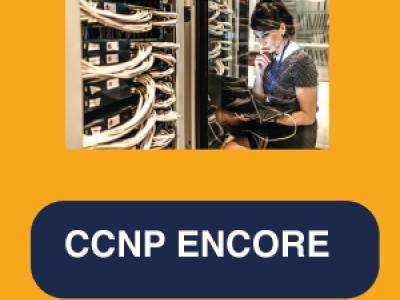 CCNP Enterprise: Core Networking